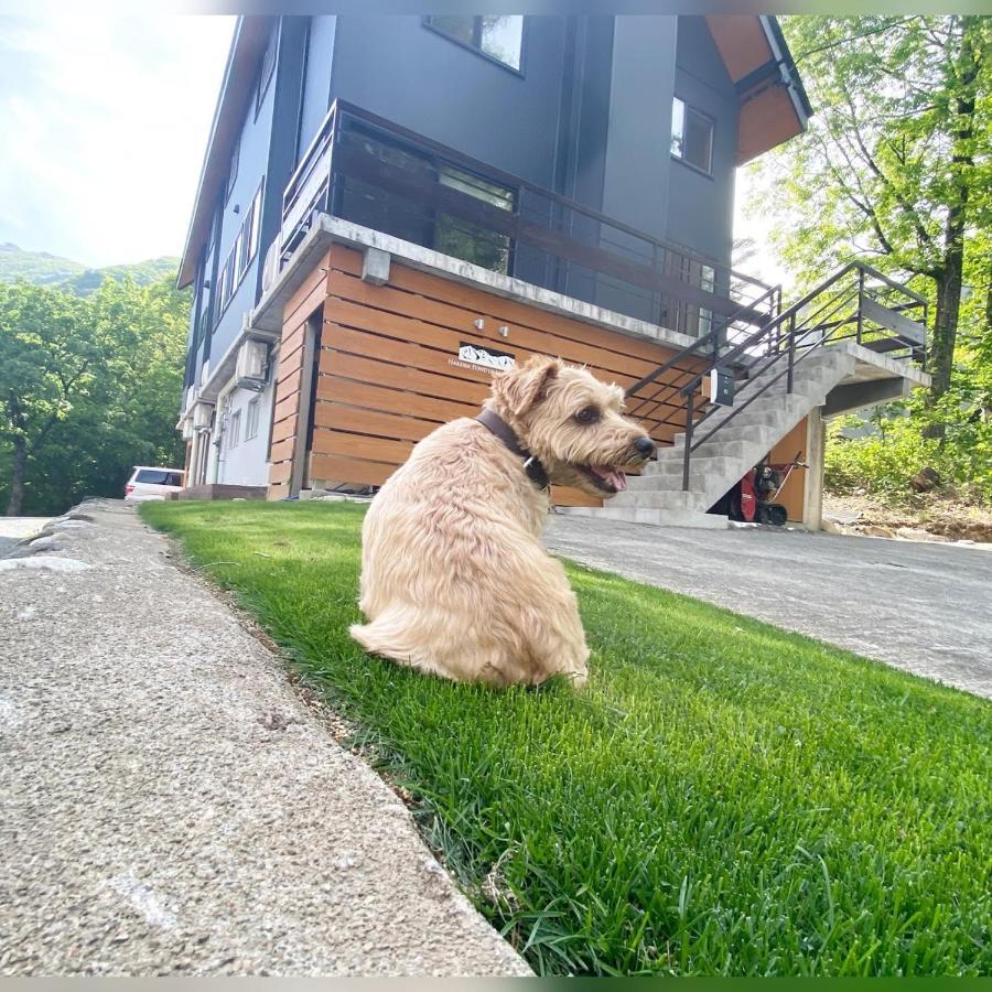 白馬パウダーマウンテン Hotel Hakuba Ngoại thất bức ảnh