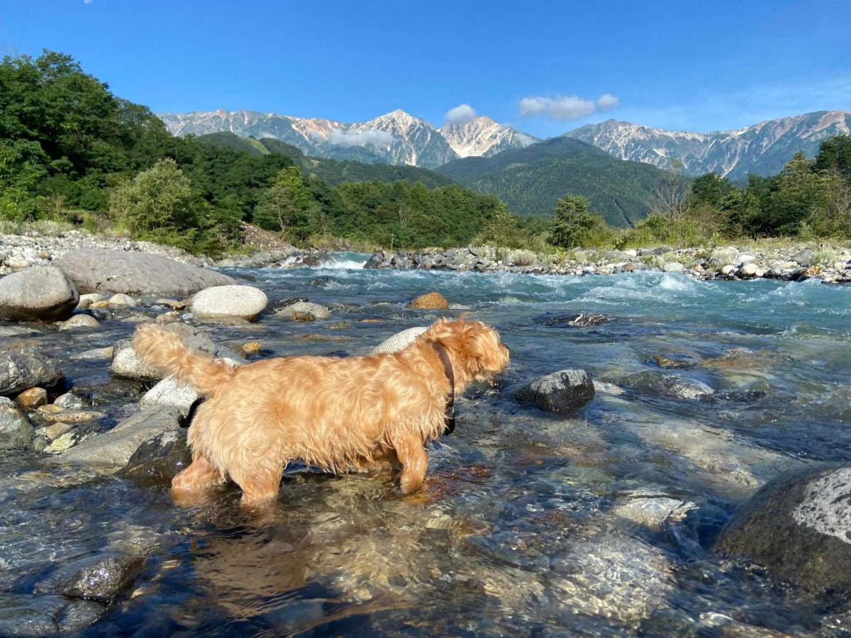 白馬パウダーマウンテン Hotel Hakuba Ngoại thất bức ảnh