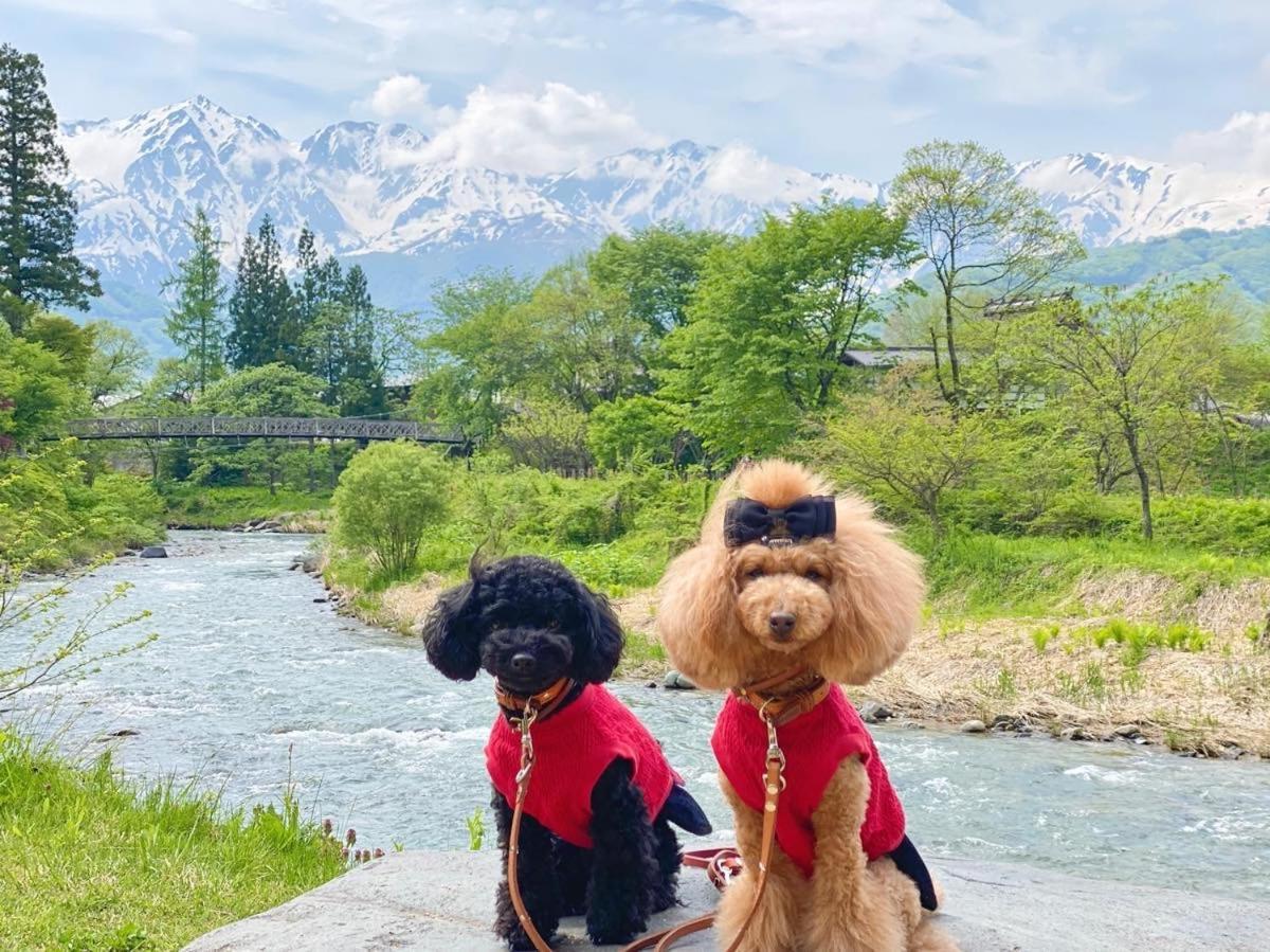 白馬パウダーマウンテン Hotel Hakuba Ngoại thất bức ảnh